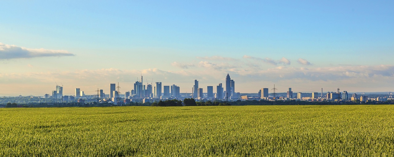 Taunus